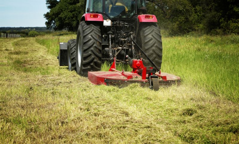 Brush Clearing Service in Marietta, GA