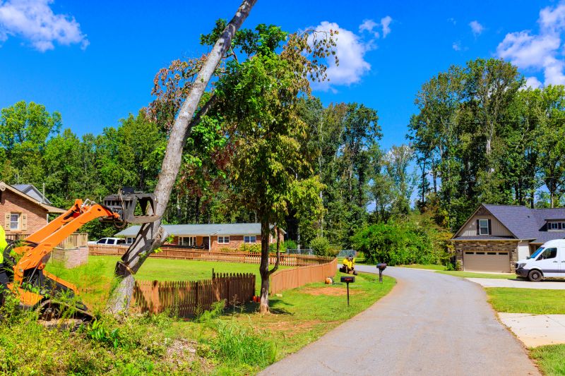 Contact About Rock Excavation