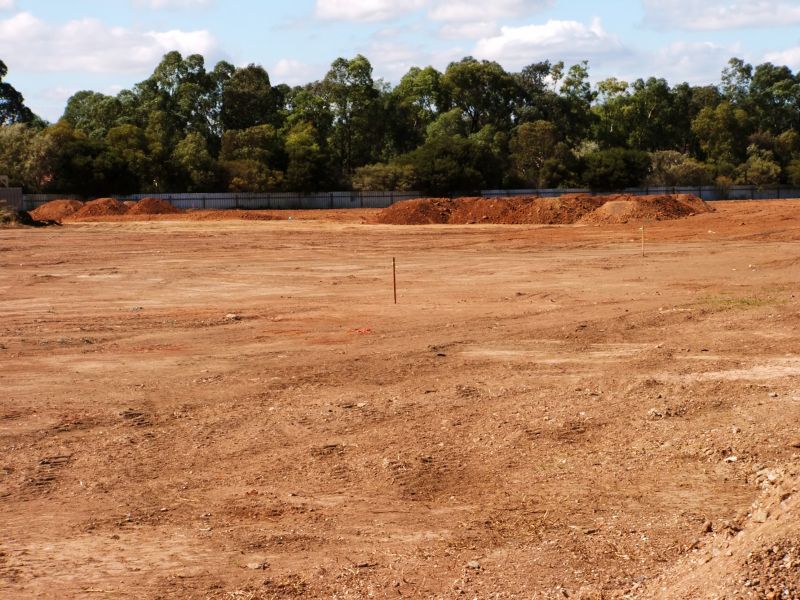 Building Site Clearing in Marietta, GA
